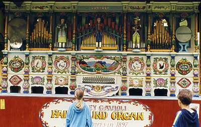 gavioli organ