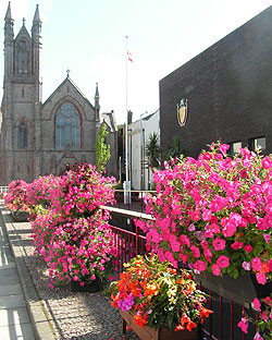 Planters and baskets at Civic hall