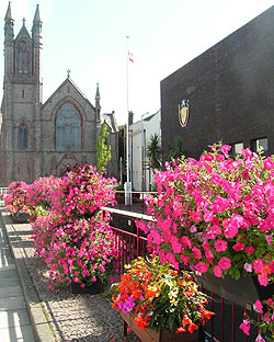 Colourful flowers around the Civic hall