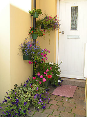 doorway brightened by flowers