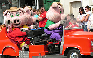 3 pigs in car