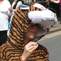 portrait 12 - tiger costume