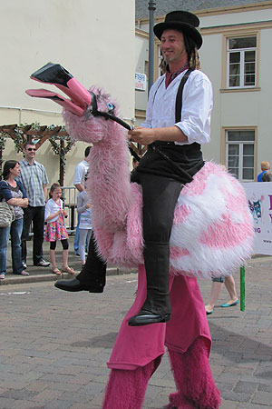 man riding flamingo