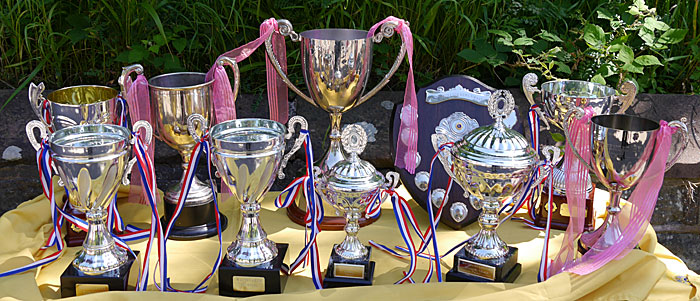 Carnival trophies