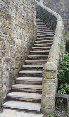Wellington terrace steps
