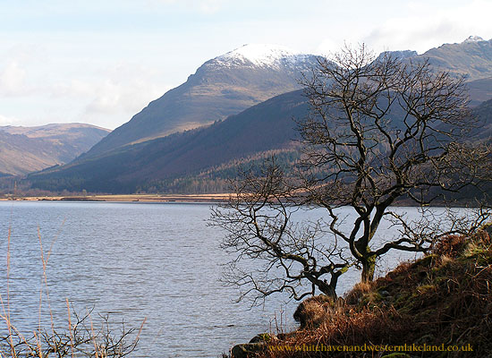 tree and snow tops at ennerdale