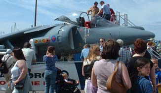 Harrier on the quay-side