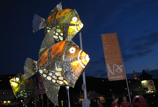 Fish lanterns against the Whitehaven night sky