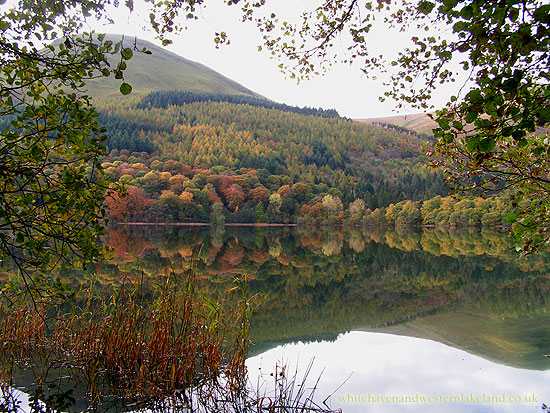 Autumn by Loweswater lake