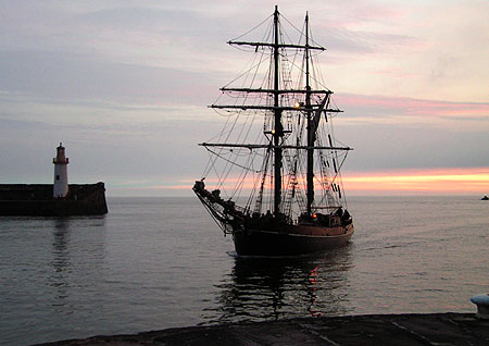 Zebu enters the Harbour