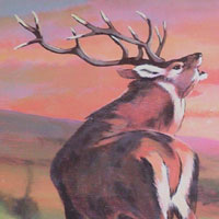 a stag at dawn - click for answer