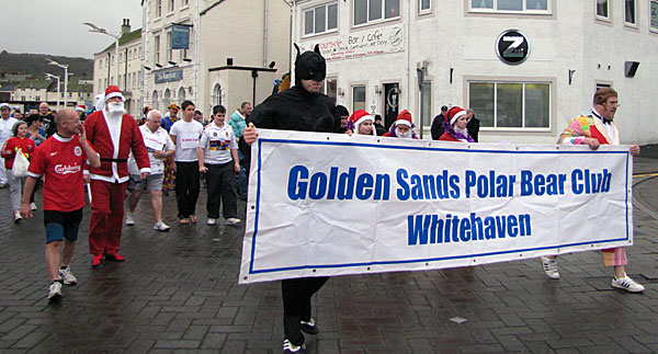 Polar Bear Club Banner