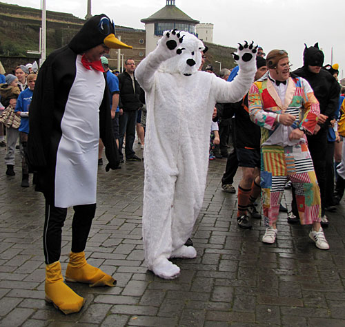 Penguin Costume