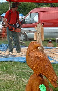 Chain Saw Carver