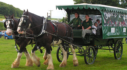 Heavy horse carriage