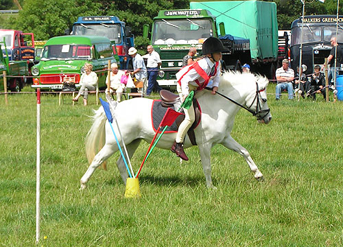 Pony Club event - flag collection